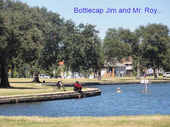 Bayou Scene