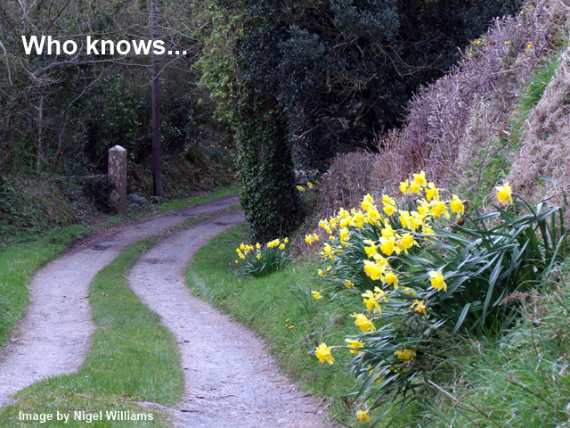 Country Lane Wales